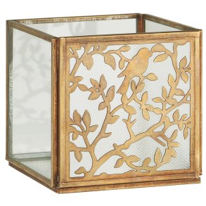 Hurricane front m/fuglemnster