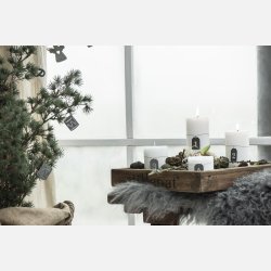 Juletrspynt tromme m/gylden wire