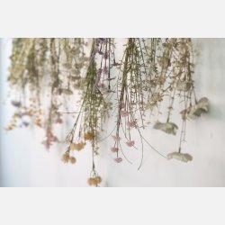 Blomst hvid/beige nuancer