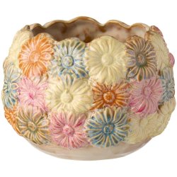 Skjuler Daisy multifarvet