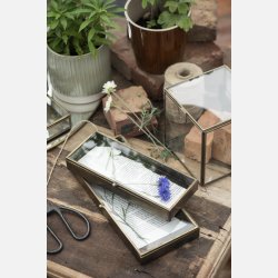 Glasske m/lg Nova, lille