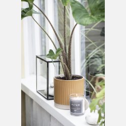 Duftlys ALTUM Amber, lille