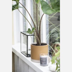 Duftlys ALTUM Amber, lille