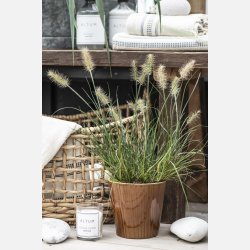 Duftlys ALTUM Marsh Herbs, stor