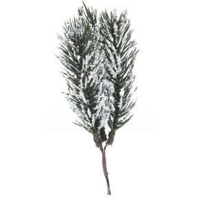 Edelweiss, 3 sm� Grankvister m/sne