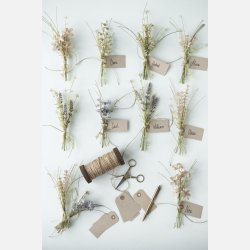 STILK/BLOMST, grnlige nuancer