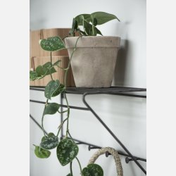 Hattehylde m/5 knager Brooklyn