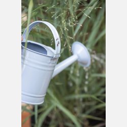 Vandkande mini 0,95 ltr