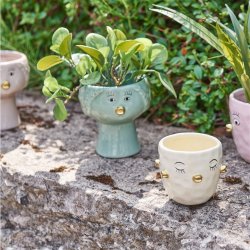 HJ SKJULER, AND, ROSA