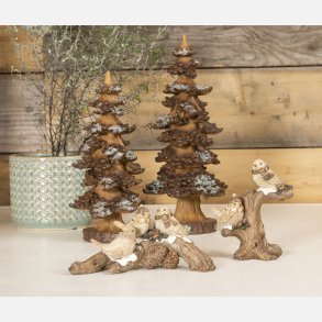 Fugle trstub m. kogler