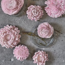 Blomsterhoved sola, lyserd