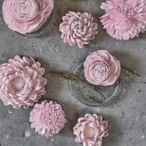 Blomsterhoved sola, lyserd