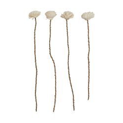 Blomst sola stilk, medium, hvid