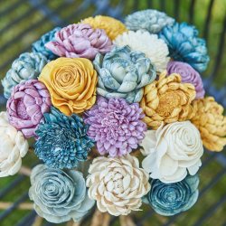 Blomst sola stilk, stor hvid