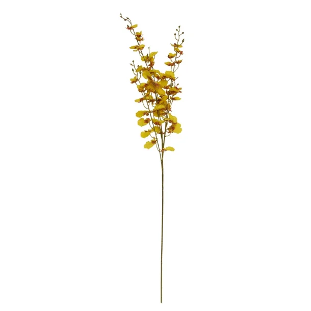 ONCIDIUM STILK, GUL