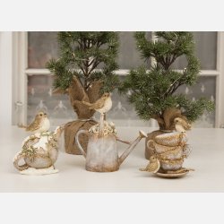 Fugl p tepotte, Brun