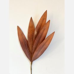 Kunstig blomst, 5 blade, henna