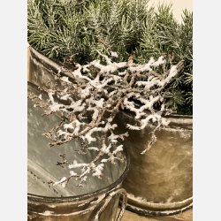 Deko gren med glimmersne, Brun