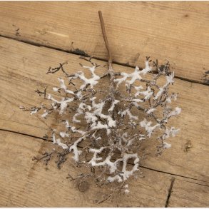 Deko gren med glimmersne, Brun