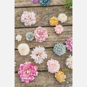 Blomsterhoved sola, lille hvid