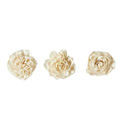 Blomsterhoved sola, lille hvid