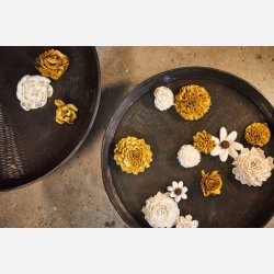 Blomsterhoved sola, stor hvid