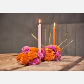 Blomst stilk sola, stor, orange