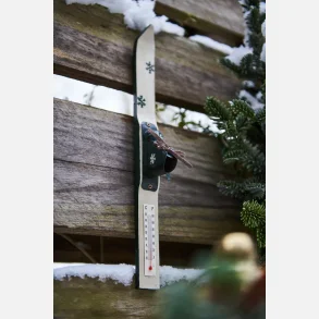 Ski m/termometer