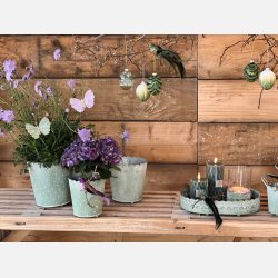 Lily zinkpotter, Mint