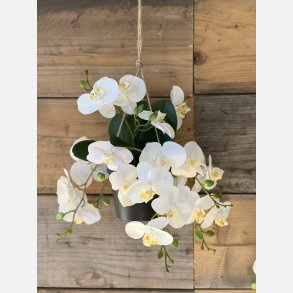Kunstig hngende orkide, 8 grene