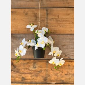  Kunstig hngende orkid, 6 stilke i hvid