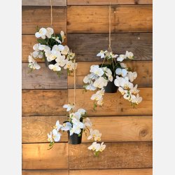  Kunstig hngende orkid, 6 stilke i hvid