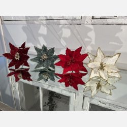 Pynteblomst p stilk, creme