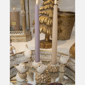 Lysestager, kogler og fugle