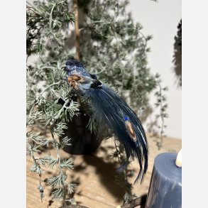 Deko fugl med perle, bl