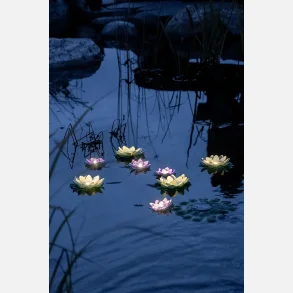 Solcelleklanterne �kander