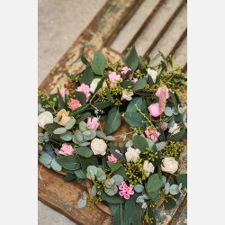 Blomst stilk sola, lille rosa