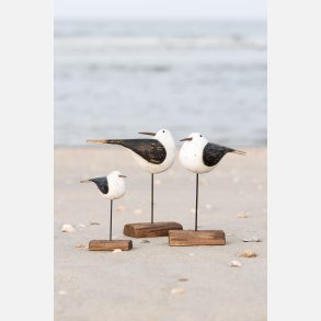 Fugl p� pind m/hoved bagud Nautico