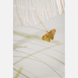 Sommerfugl m/wire messing