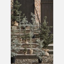 Cedertr kunstig i plastpotte