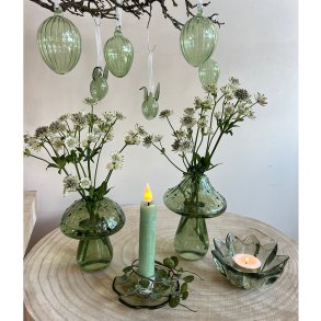 Glasvase mushroom,  grn