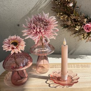 Glasvase mushroom,  lyserd