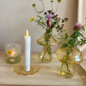 Glasvase mushroom,  gul