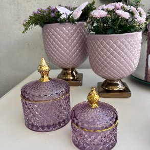 Celia potte p fod, lilla