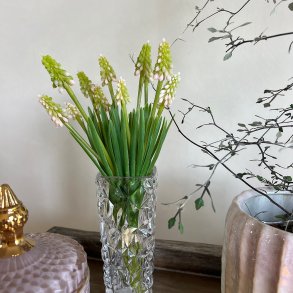 Buket, perlehyacinter, rosa