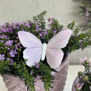 Sommerfugl, lyserd 25