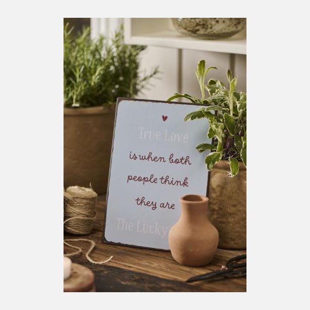 skilt True Love
