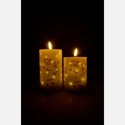 Fiber Optic LED ledlys, poppy rose