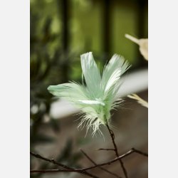 Pyntefjer 2 ass farver gul og st�vgr�n m/wire