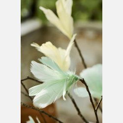 Pyntefjer 2 ass farver gul og st�vgr�n m/wire